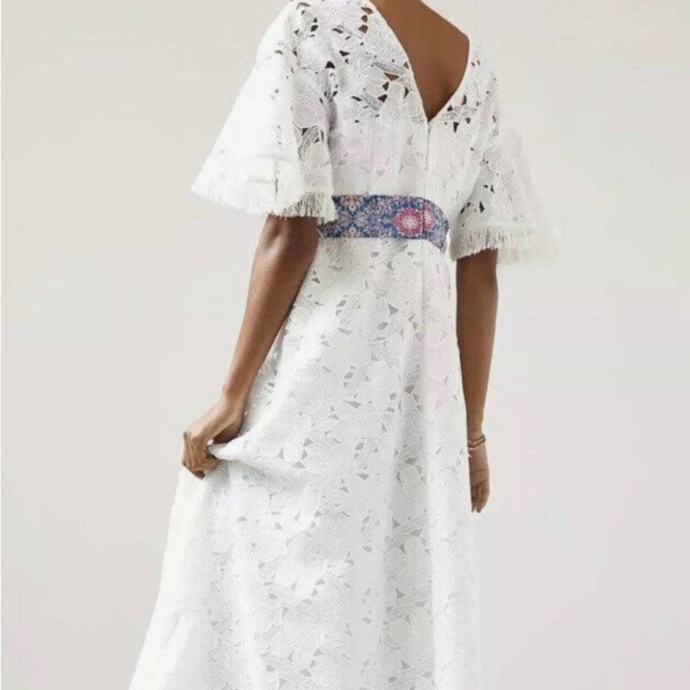 Sachin & Babi dress - Picture 3 of 3